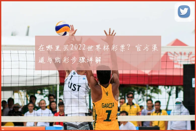 在哪里买2022世界杯彩票？官方渠道与购彩步骤详解