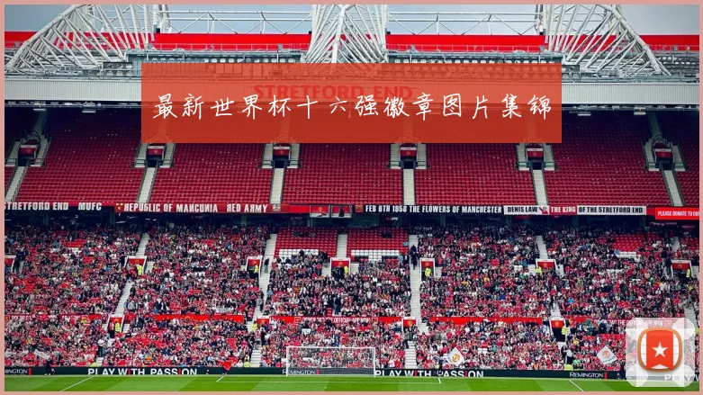 最新世界杯十六强徽章图片集锦