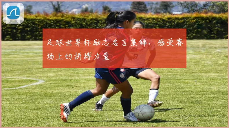 足球世界杯励志名言集锦，感受赛场上的拼搏力量